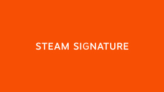 Steam Signature