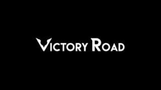 Victory Road Pokémon Damage Calculator